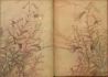 Fig.19c: Milford Rubaiyat - rear end papers of Fig.19a.